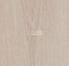 Кварцвиниловые полы Forbo Allura Flex Wood 63406FL1-63406FL5 bleached timber фото 1 | FLOORDEALER